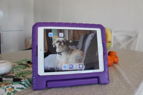 Standcase Børnecover iPad 10.2 (2019/2020/2021)