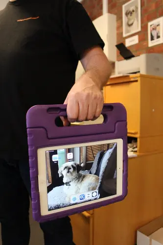 Standcase Børnecover Samsung Galaxy Tab S10 FE 5G