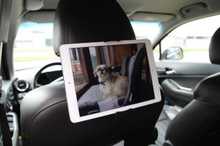 Nakkestøtteholder til iPad & Tablet