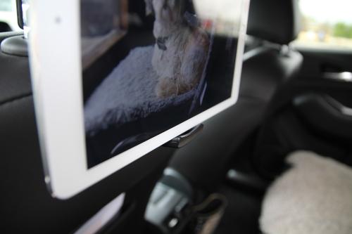 Nakkestøtteholder til iPad & Tablet