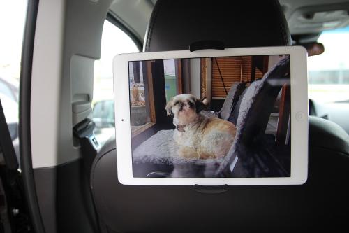 Nakkestøtteholder til iPad & Tablet