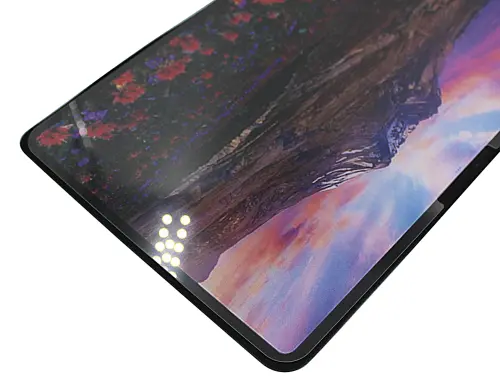 Glasbeskyttelse iPad Pro 11 (2024)